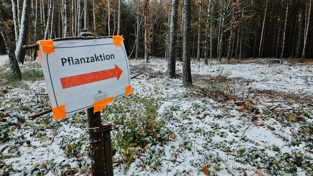 Schild mit Aufschrift Pflanzaktion steht in einem Wald mit Schnee