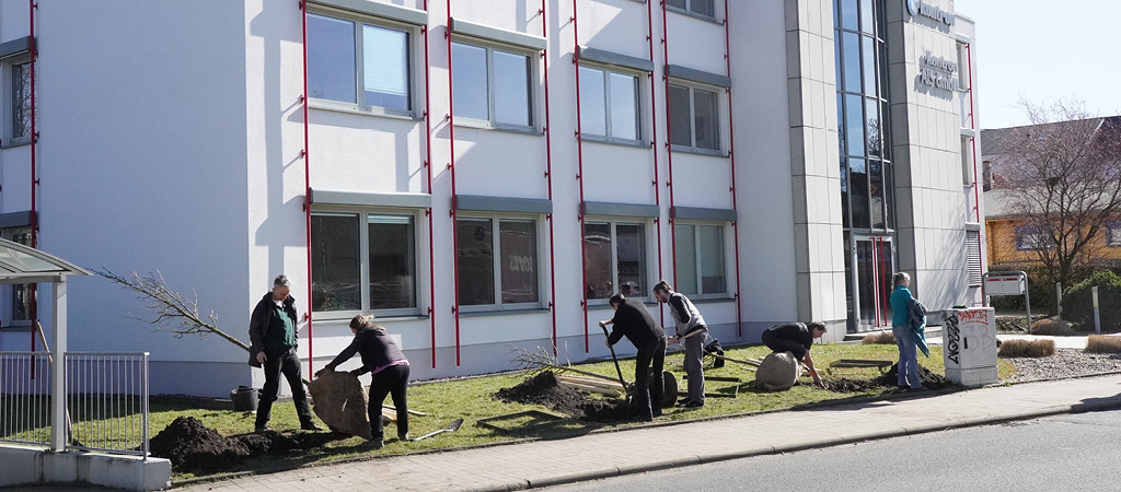 People plant trees in front of a building